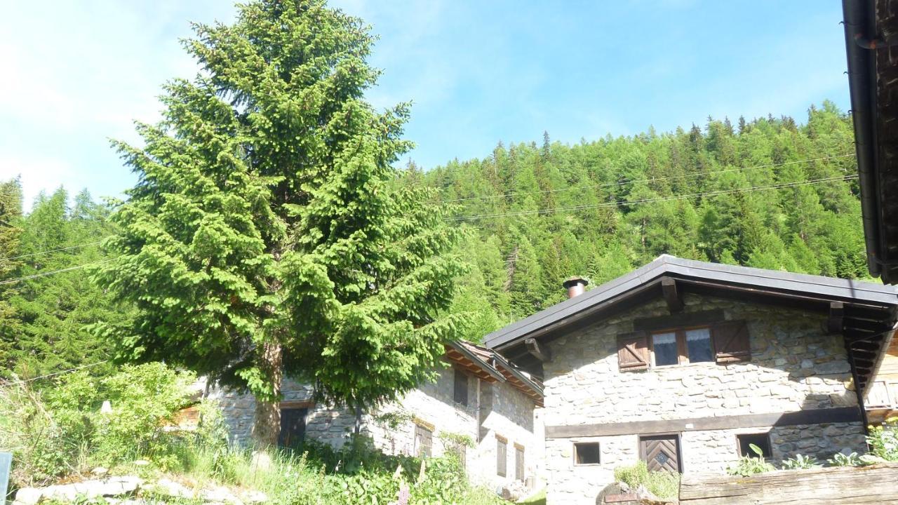 Il Refuge Cir 119